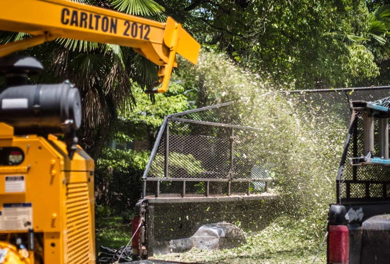 Our Services 10 Brush Chippings