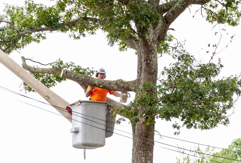 Our Services 11 Bucket Truck