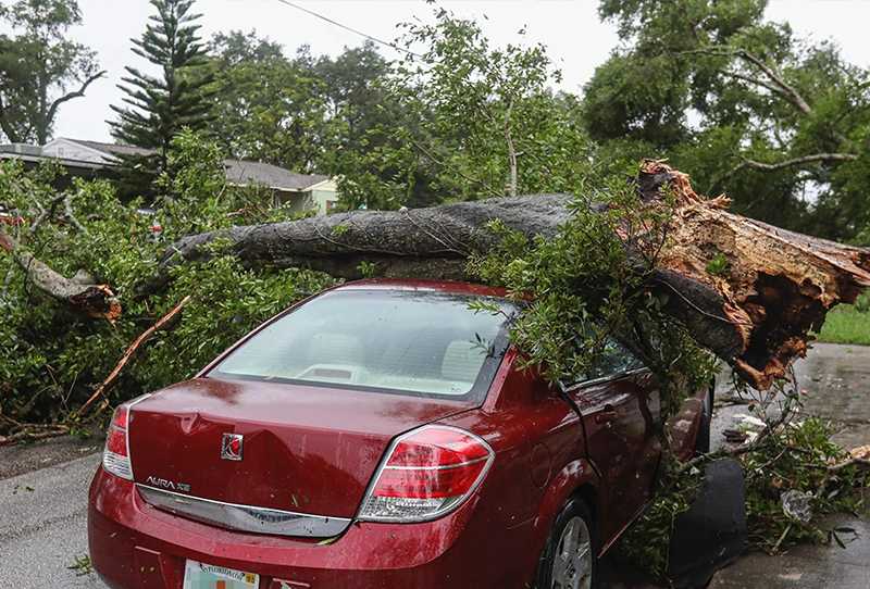 Our Services 12 Storm Damage