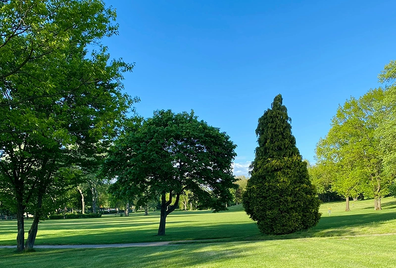 Our Services 7 Tree Healthcare