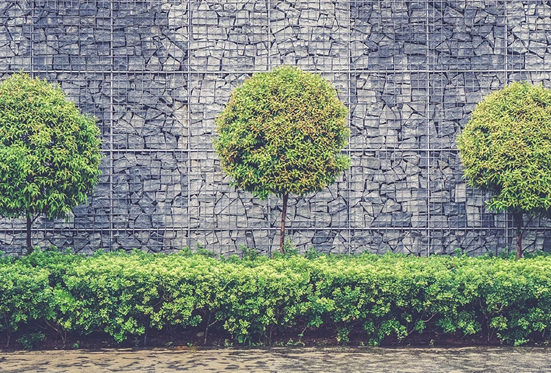 Our Services 4 Tree Shrub Planting