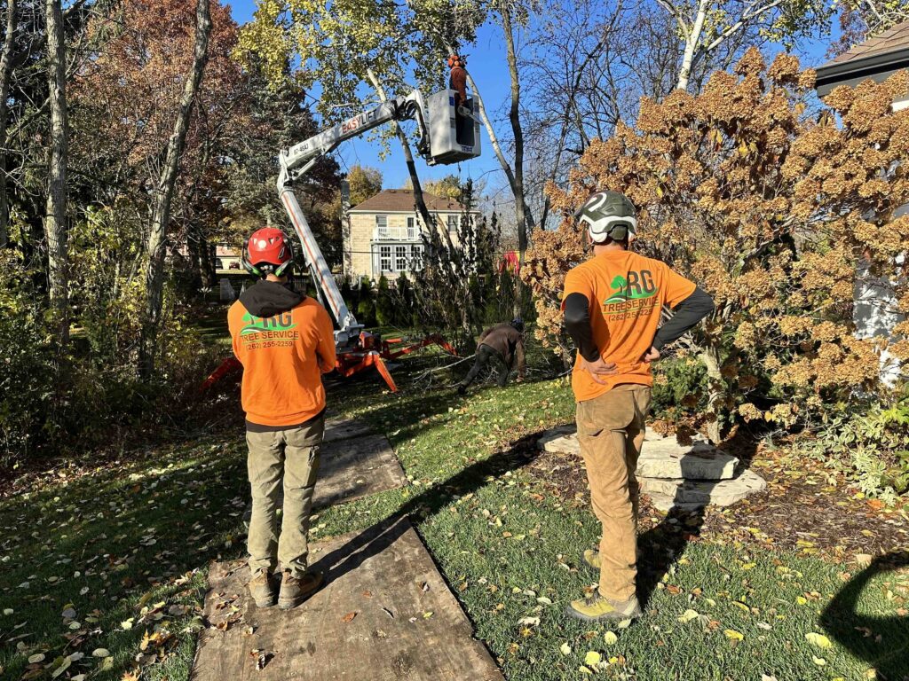 RG Tree Guys Standing