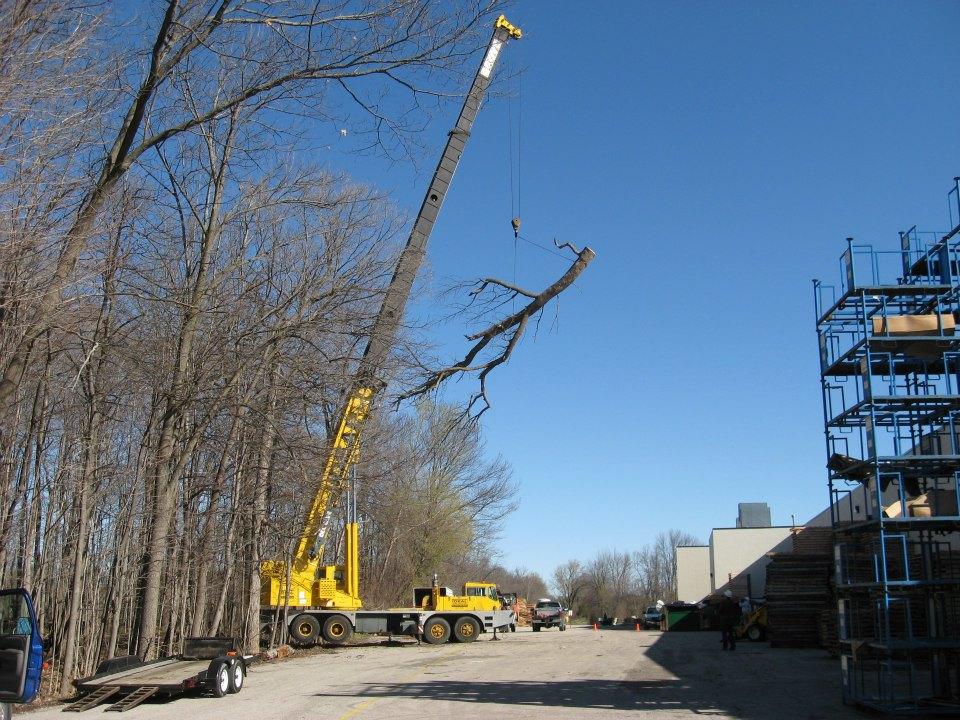 stump removal menomonee falls