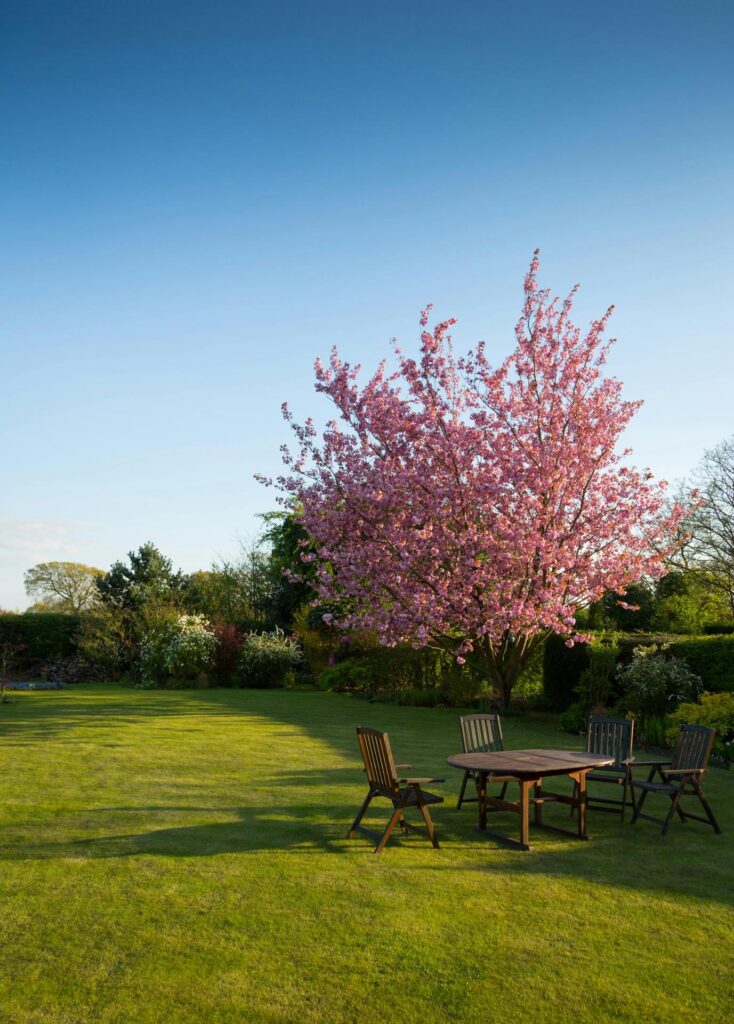 tree service waukesha