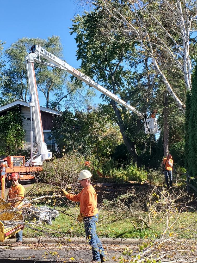 stump grinding brookfield