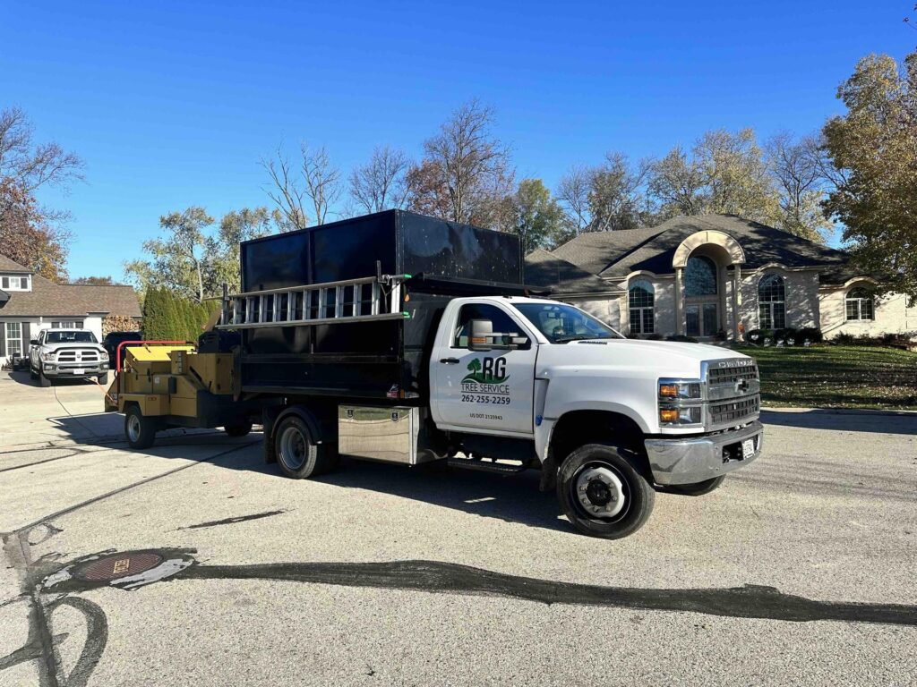 stump removal brookfield