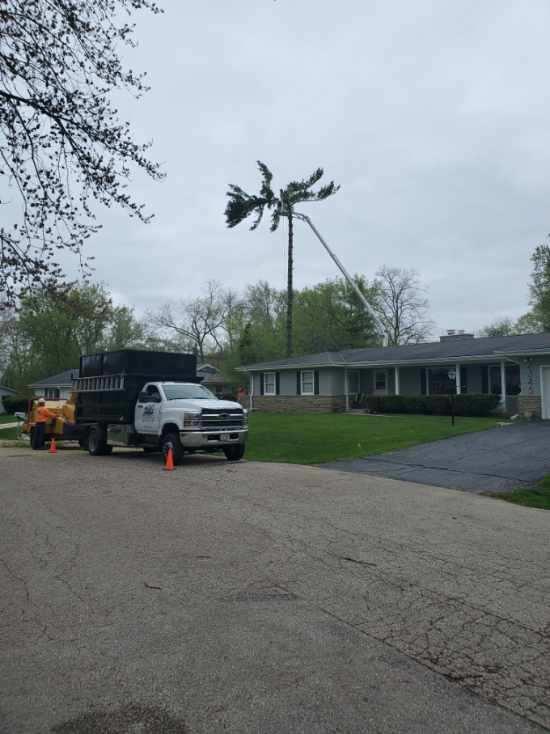 stump removal brookfield